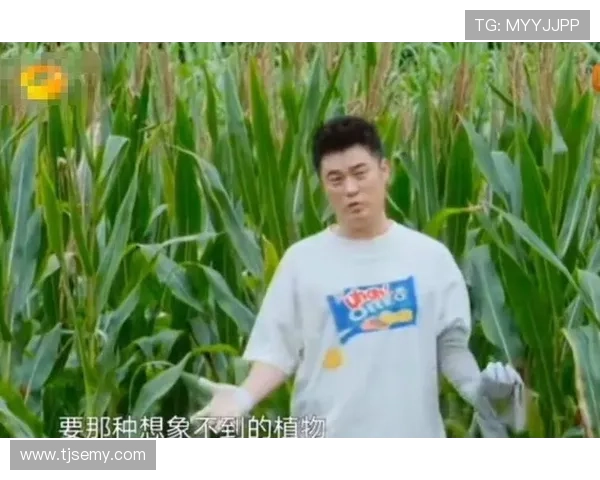 尖叫吧路人:陈赫的综艺魔法与笑声引爆指南